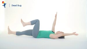 Video Thumbnail: Core Exercise: Dead Bug