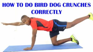 Video Thumbnail: How to Do Bird Dog Crunches for Core Strength | Exercise of The Day #20